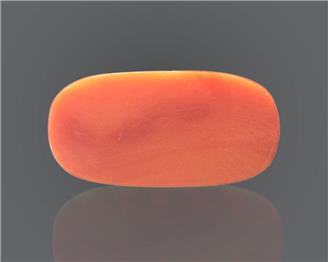 Natural Coral  16.26RTS-24879